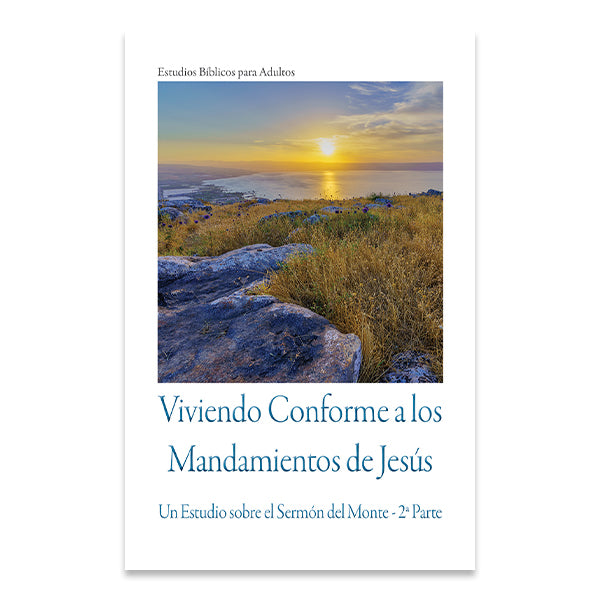 Bible Studies for Adults – 2024 Q4