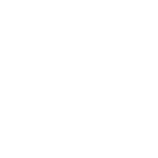 Google Icon