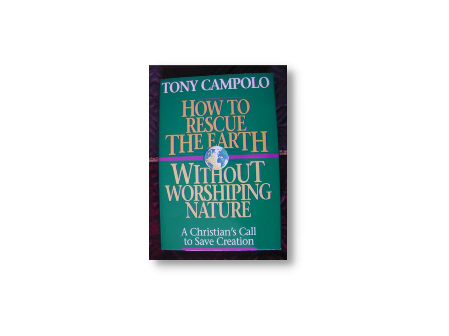 How to Rescue the Earth Without Worshipping Nature