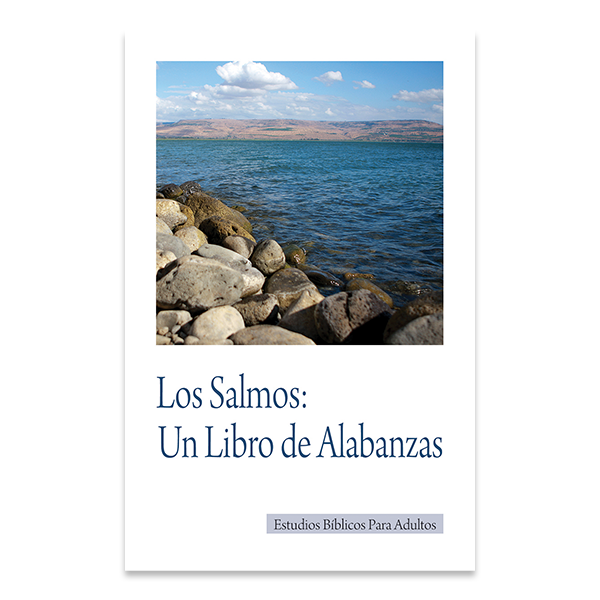 Bible Studies for Adults - 2011 Q2 - Psalms / Los Salmos