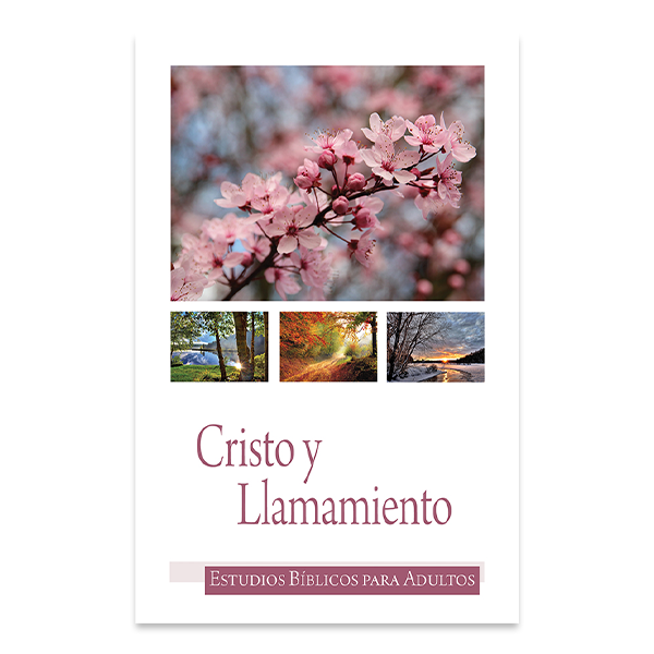 Bible Studies for Adults - 2019 Q2 - Christ and Calling / Cristo y Llamamiento