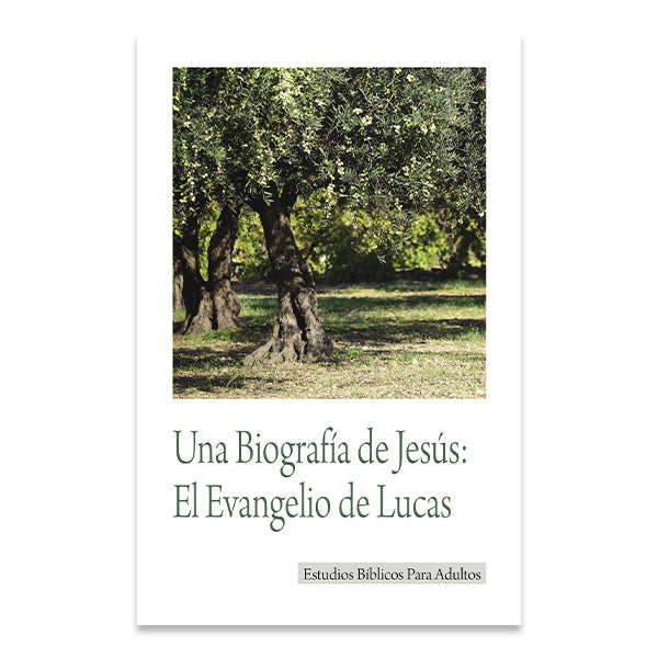 Bible Studies for Adults - 2008 Q3 - A Biography of Jesus: Luke’s Gospel  /  Una Biografía de Jesús:  El Evangelio de Lucas