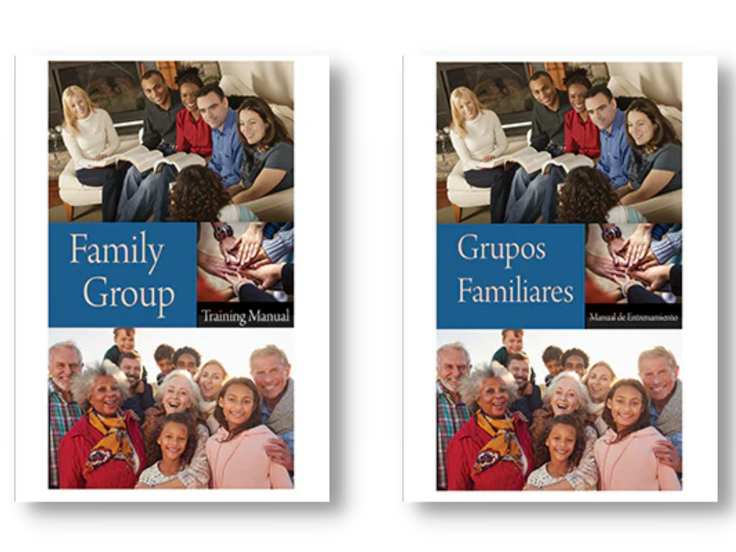 Family Group Training Manual