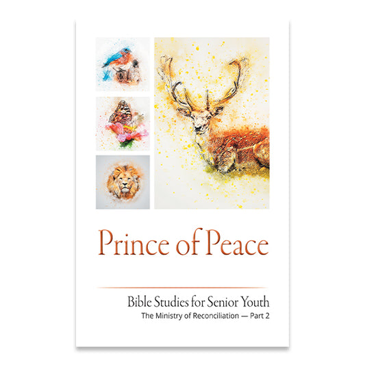 Senior Youth Bible Study - SY-714 -  Prince of Peace / Príncipe de Paz